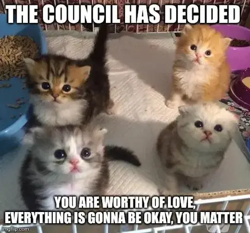 cute set of 4 kittens with words: "the council has decided: you are worthy of love, everything is going to be okay, you matter"