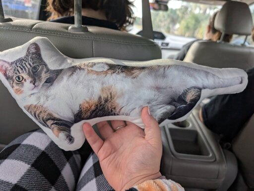 mini body pillow of cat laying sexy like